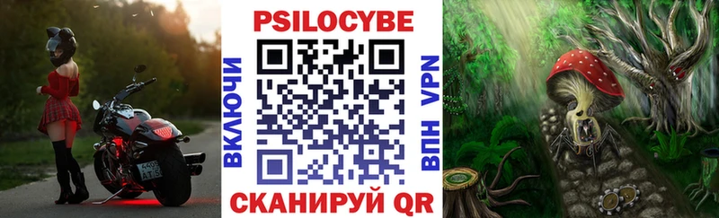 Псилоцибиновые грибы прущие грибы  Купить где  Дно 