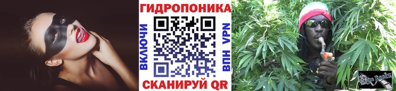 Купить  Дно  Марихуана сатива 
